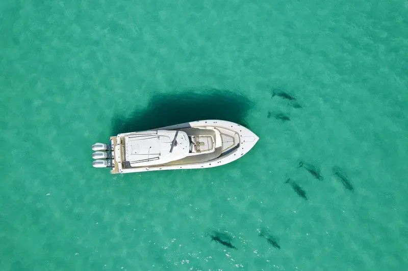 Overhead drone view of a boat on clear emerald Gulf water